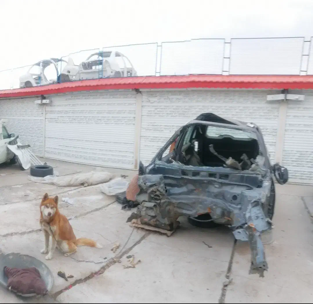 گاراژ فروشی بلوار امام رضا|فروش مغازه و غرفه|تربتحیدریه, رباط سفلی|دیوار