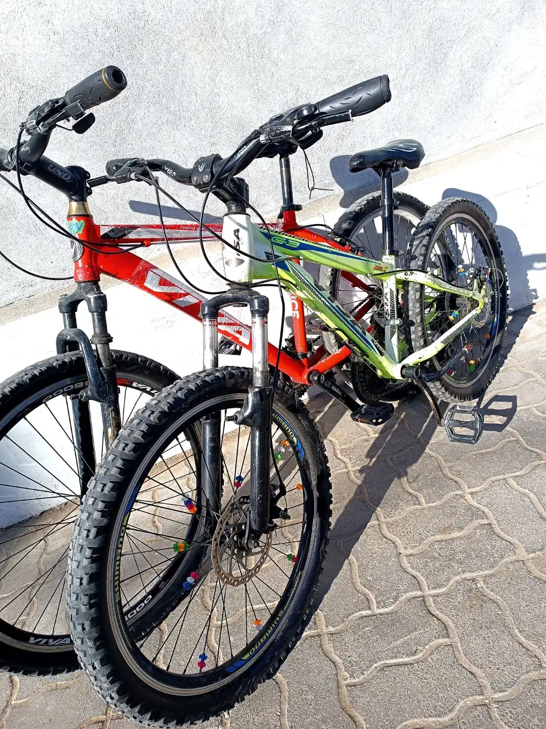 دو عدد دوچرخه ویوا و ویسا حرفه ای سایز ۲۴ و ۲۶|دوچرخه، اسکیت، اسکوتر|تربت جام, جامی|دیوار