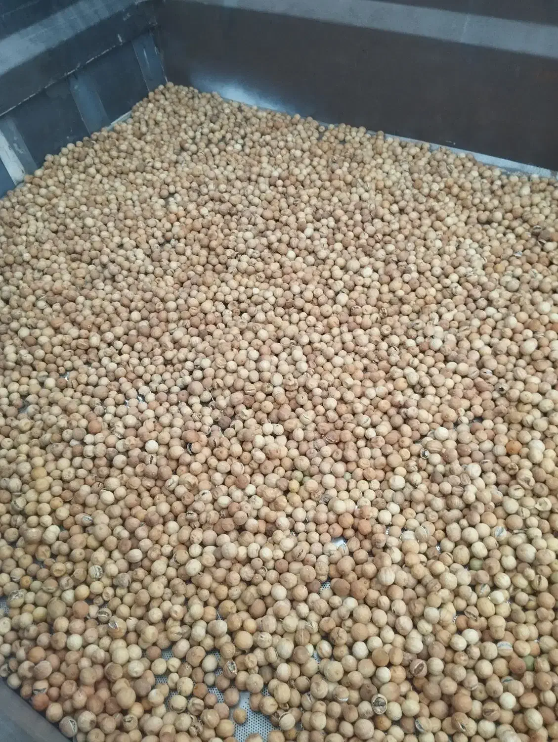 لیمو خشک|خوردنی و آشامیدنی|باشت, |دیوار