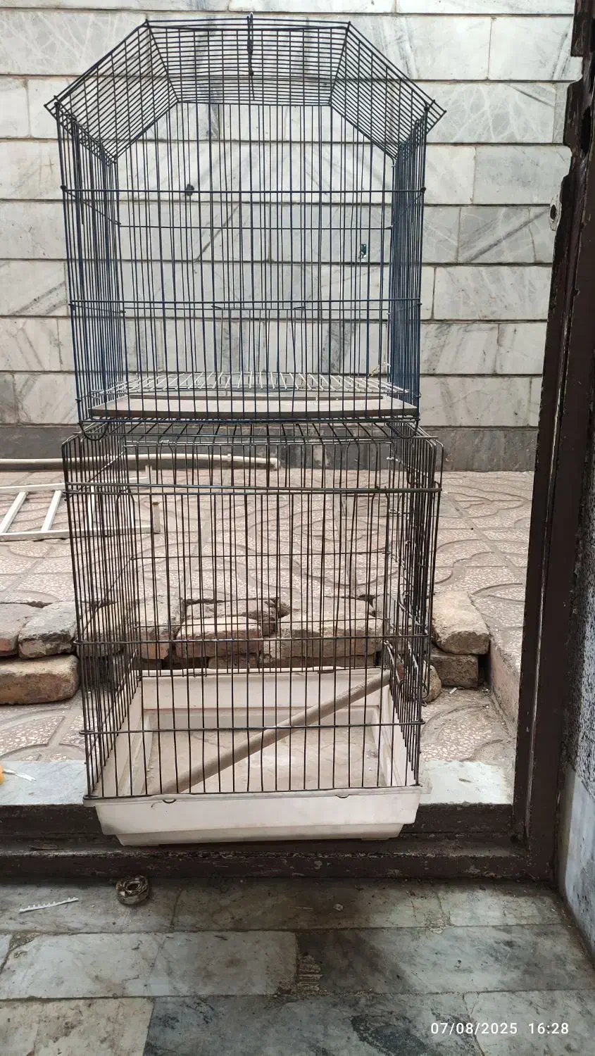 قفسه پرنده|لوازم جانبی حیوانات|مشکین‌دشت, |دیوار