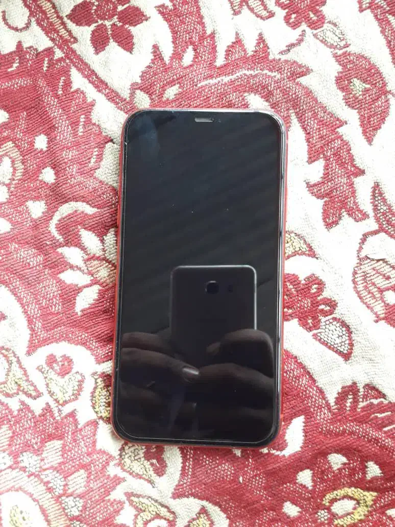 ایفون 11|موبایل|شادگان, |دیوار