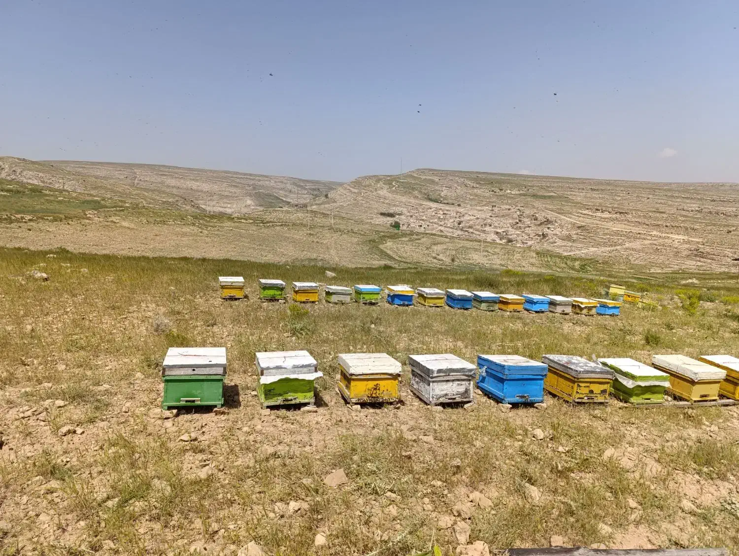 کندو خالی|حیوانات مزرعه|شیروان (خراسان), |دیوار