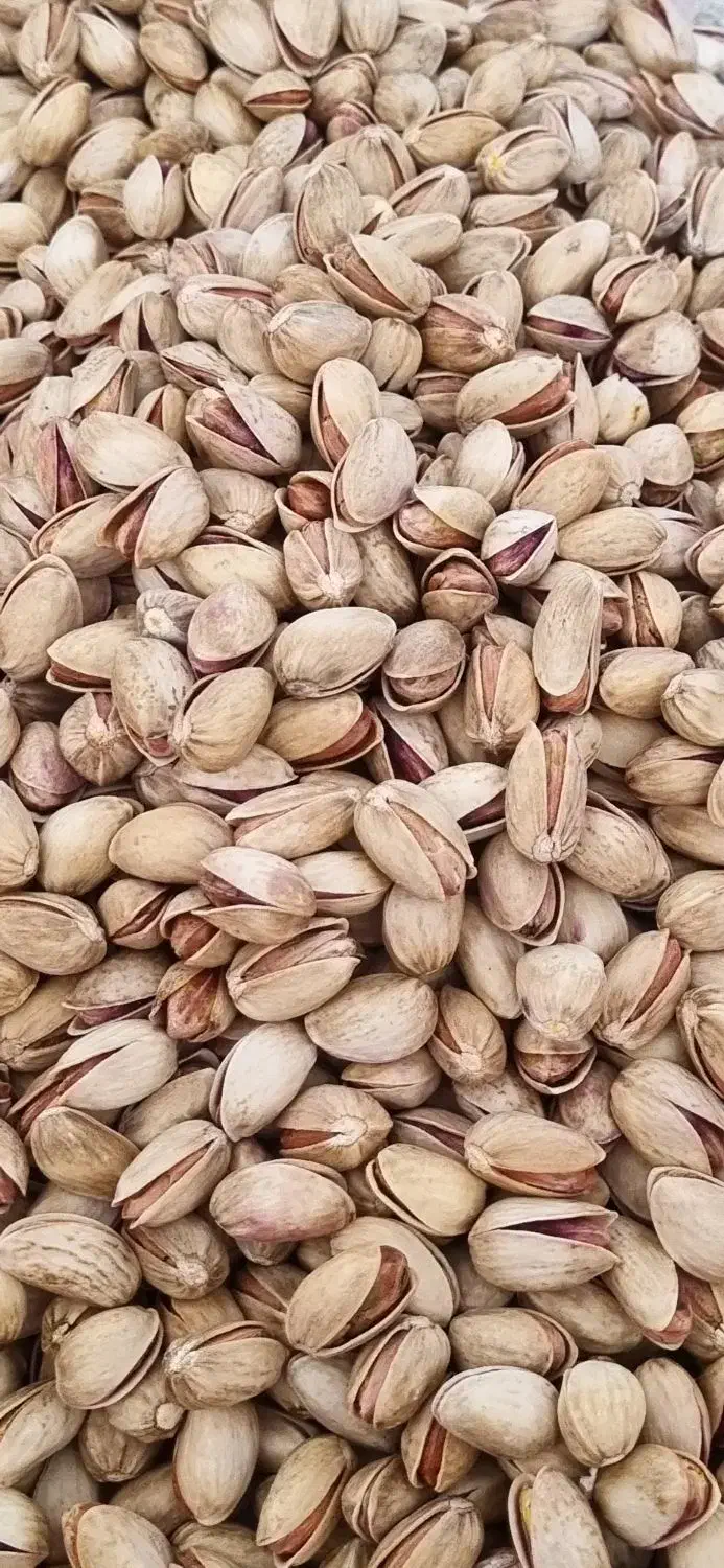 پسته ی خشک امساله|خوردنی و آشامیدنی|قم, شهرک قدس|دیوار