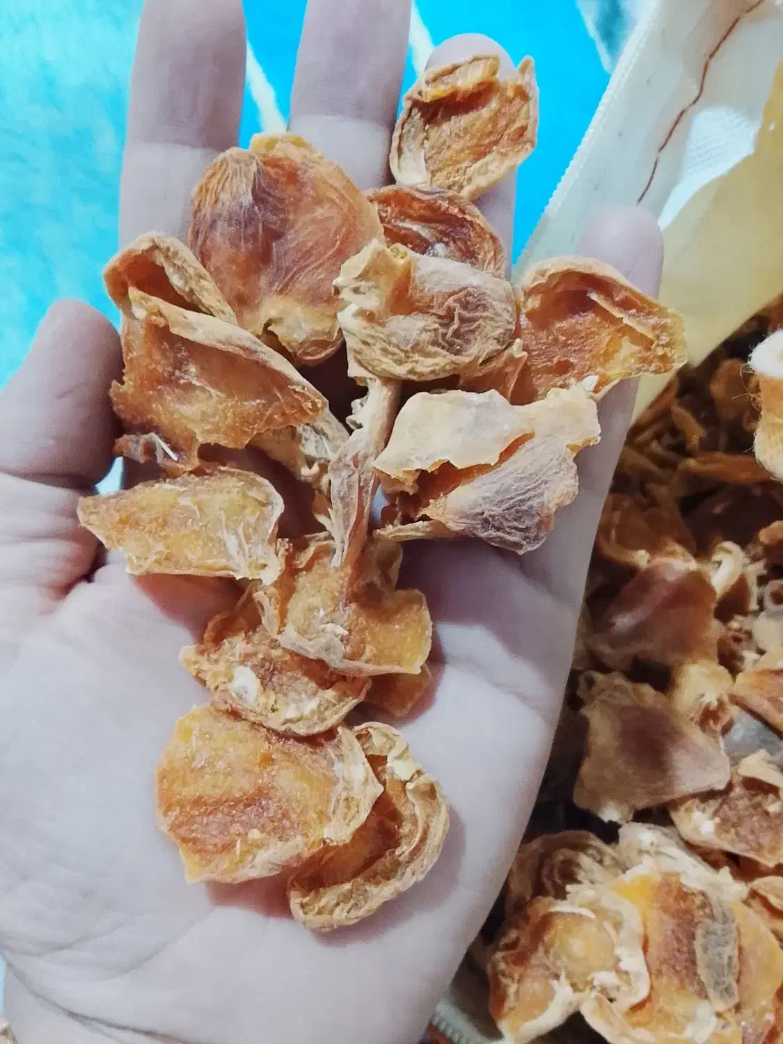 قیسی کیلو 250|عمده‌فروشی|پاتاوه, |دیوار