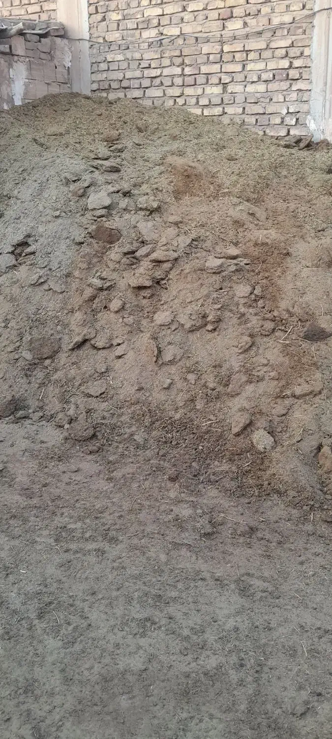 کود گوسفند|لوازم جانبی حیوانات|رفسنجان, |دیوار