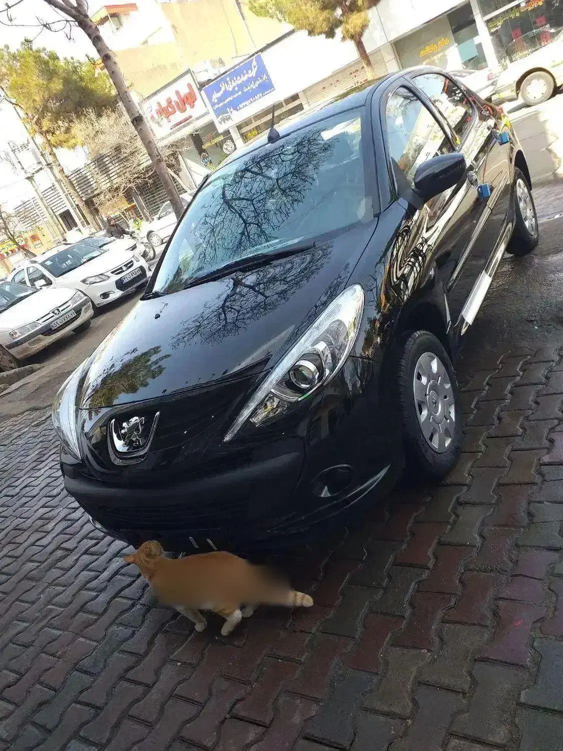 207tu3|خودرو سواری و وانت|سبزوار, سیادتی|دیوار