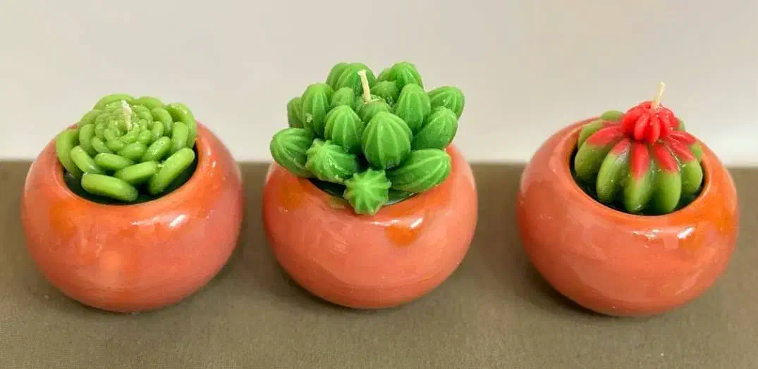 شمع کاکتوسی|صنایع دستی و سایر لوازم تزئینی|تهران, دولاب|دیوار