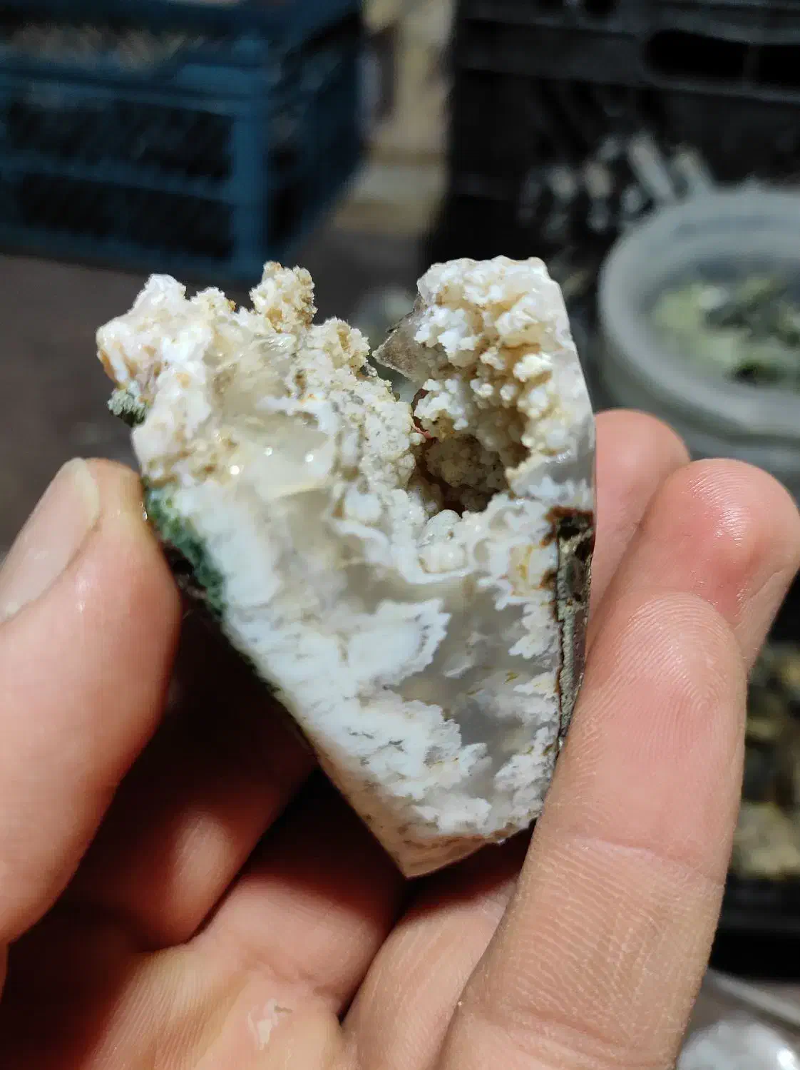 عقیق شجر ژئود دار فوق کلکسیونی|جواهرات|کاشان, شهرک فرهنگیان|دیوار