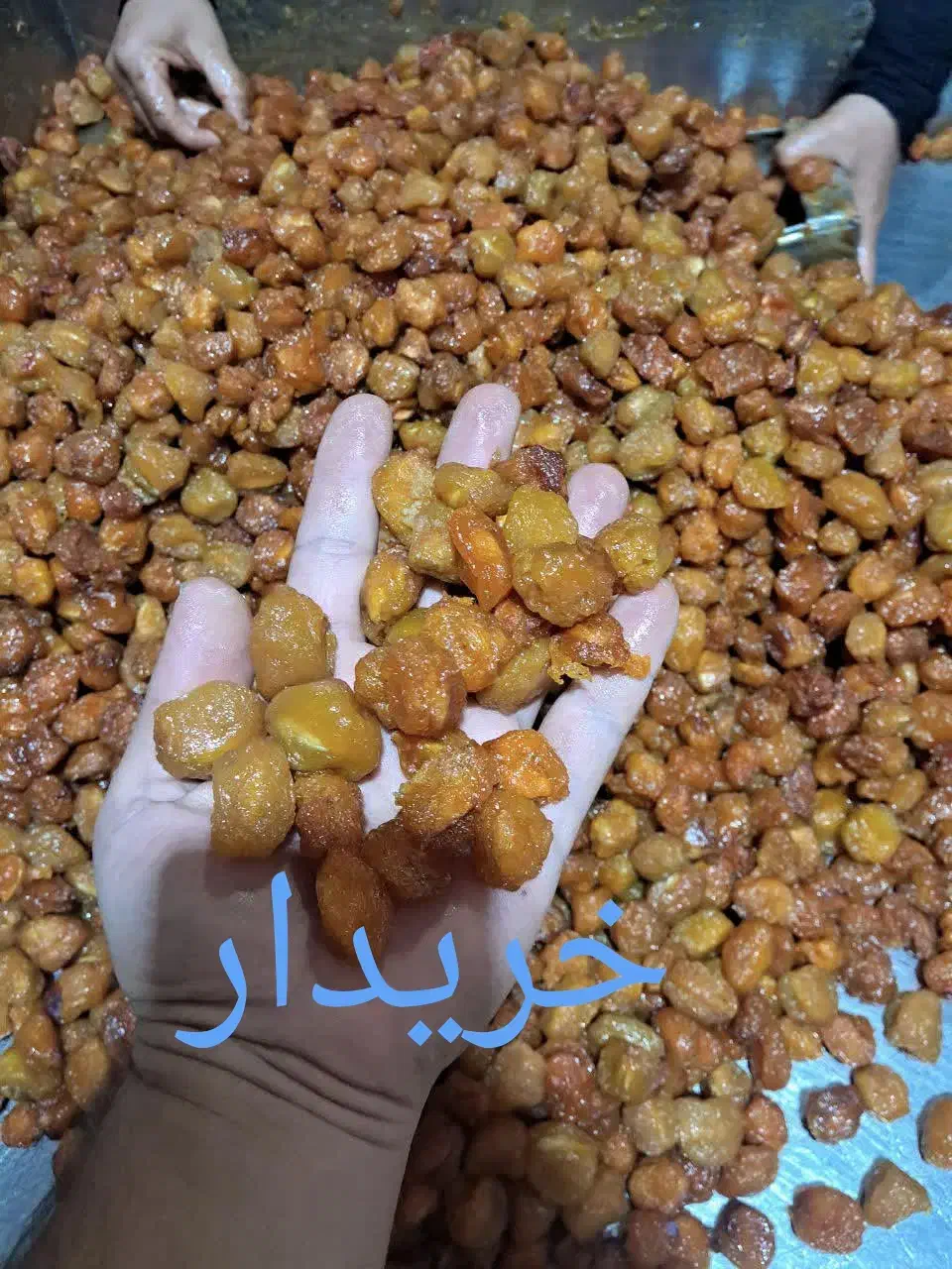 آلو|خوردنی و آشامیدنی|نیشابور, بلوار گلها|دیوار