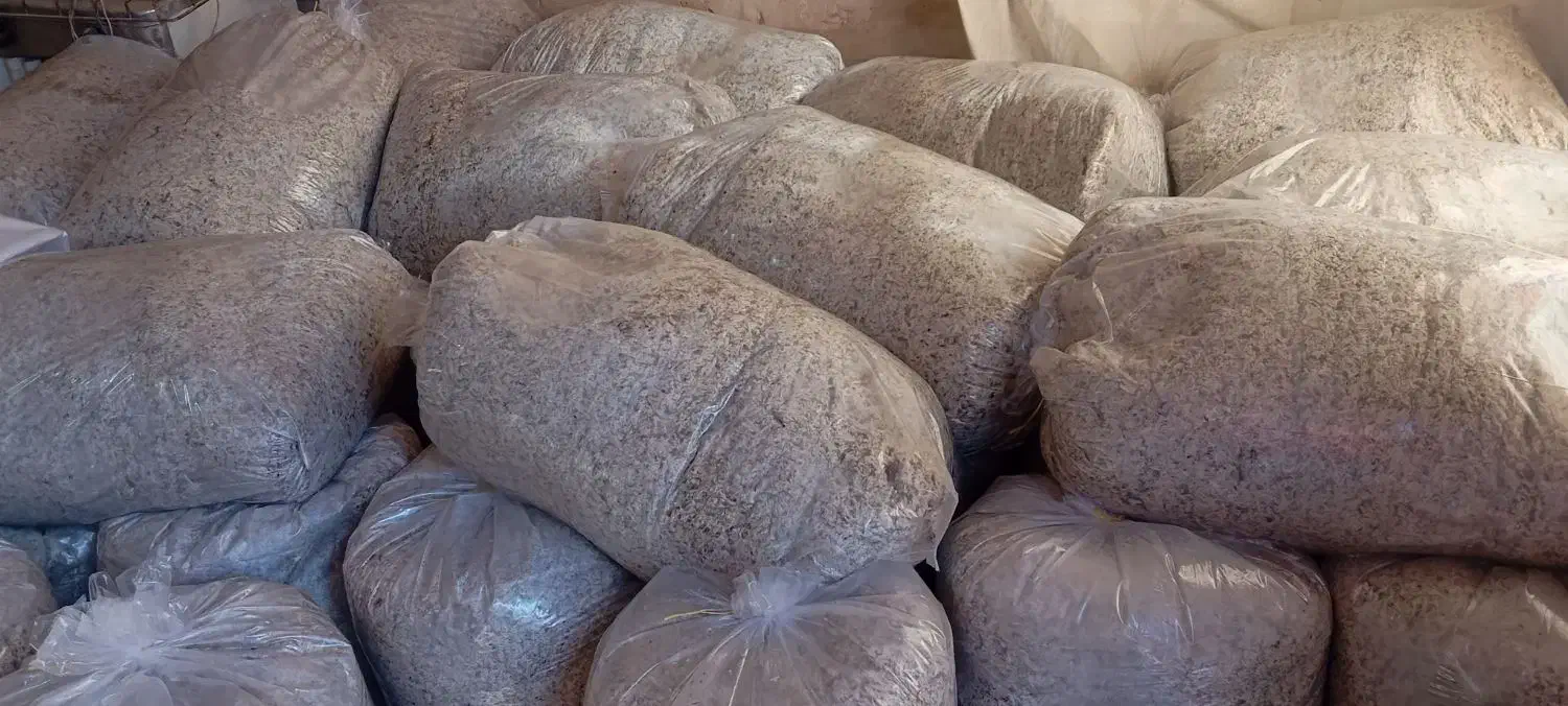 تفاله چقندر|حیوانات مزرعه|خنداب, |دیوار