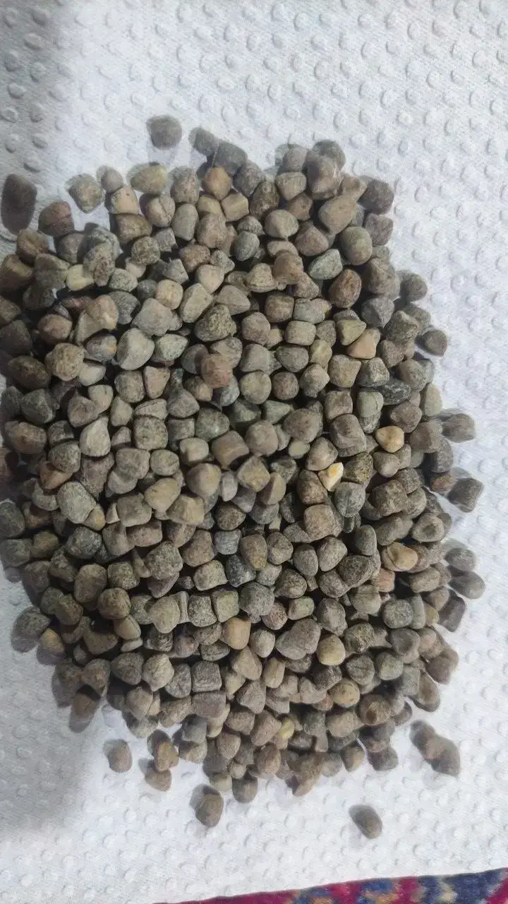 بذر خلر|گل و گیاه طبیعی|بهبهان, |دیوار