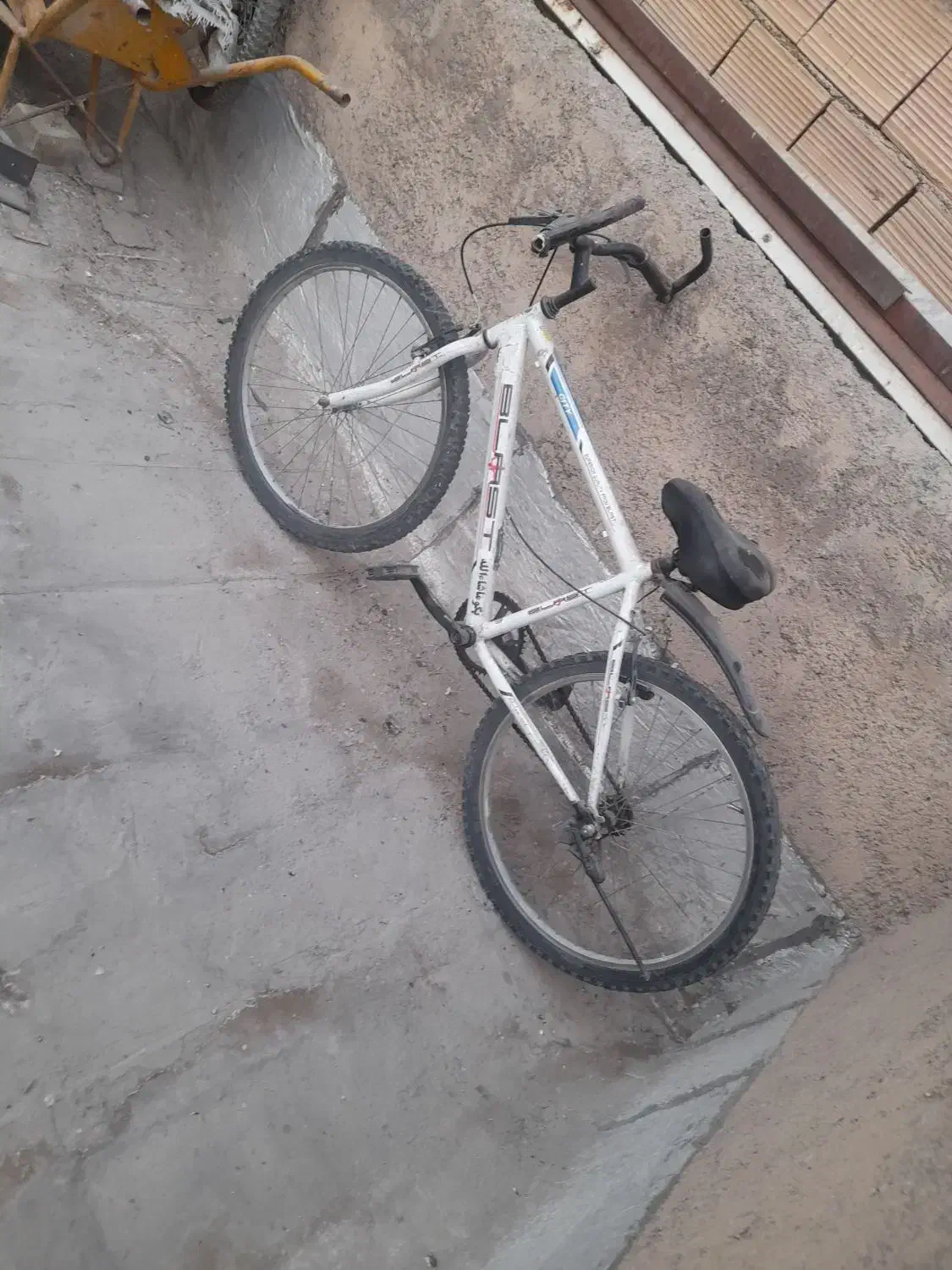 دوچرخه سالم|دوچرخه، اسکیت، اسکوتر|پاکدشت, پاکدشت (مامازند)|دیوار