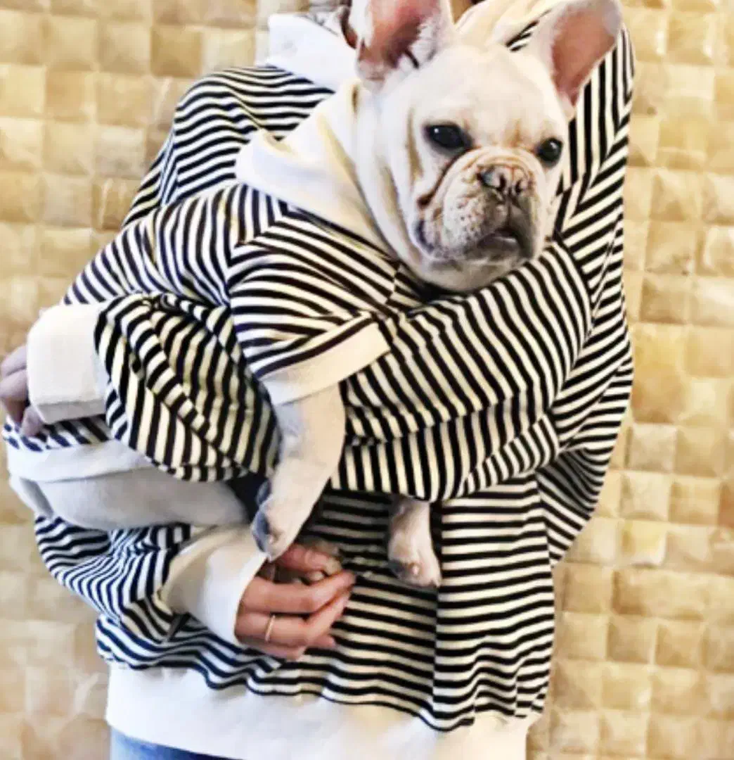 لباس سگ ست|لوازم جانبی حیوانات|تهران, زعفرانیه|دیوار