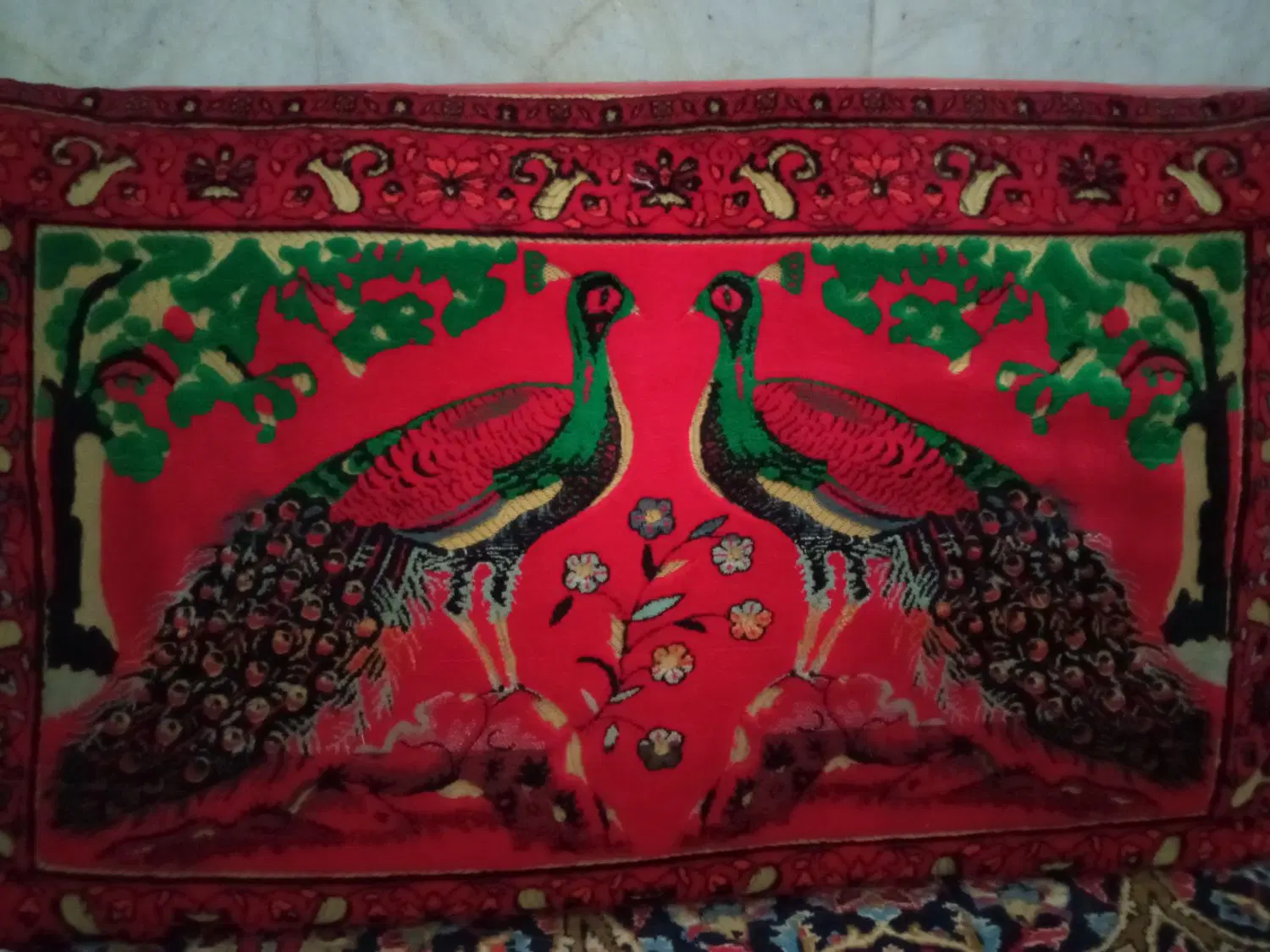 پشتی|پشتی|زاهدان, |دیوار