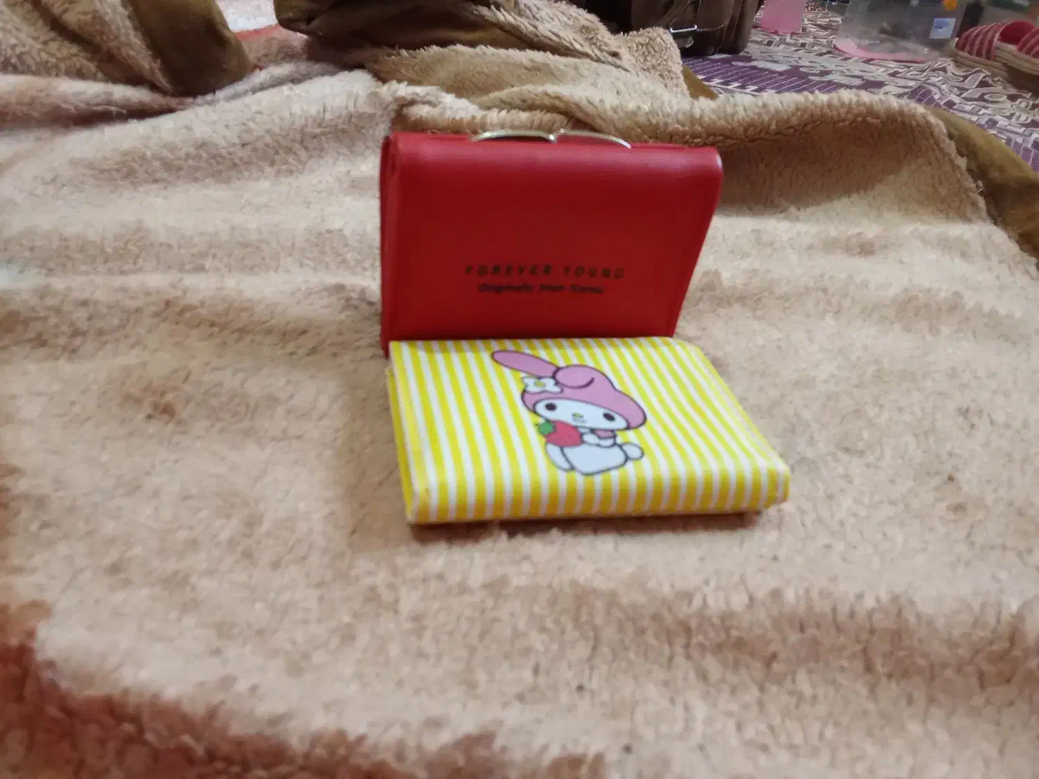 کیف عابربانک|کیف، کفش، کمربند|آستانه اشرفیه, |دیوار