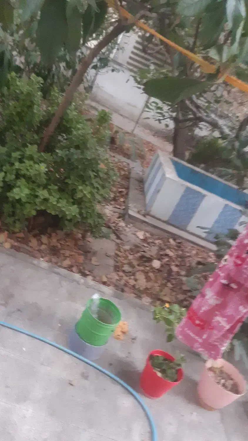 ۸۵ متر مطهری قائم مقام با حیاط اختصاصی تکواحدی|فروش آپارتمان|تهران, سنائی|دیوار