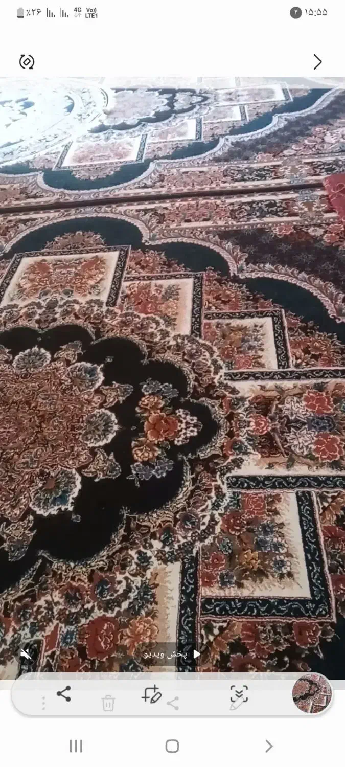 فرش ۱۲ متری|فرش|شوشتر, |دیوار