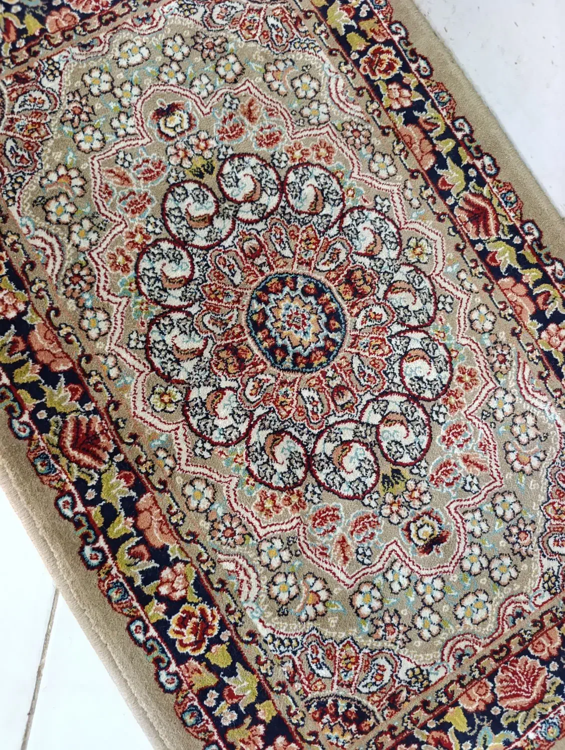 پادری قهوه ای گردویی|پادری|مشهد, مشکینی (شهرک غرب)|دیوار