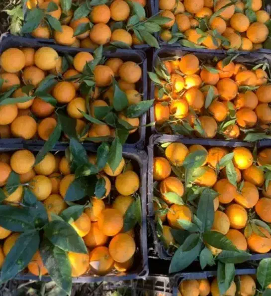 یک نفر بازنشسته|استخدام بازاریابی و فروش|الوند, |دیوار