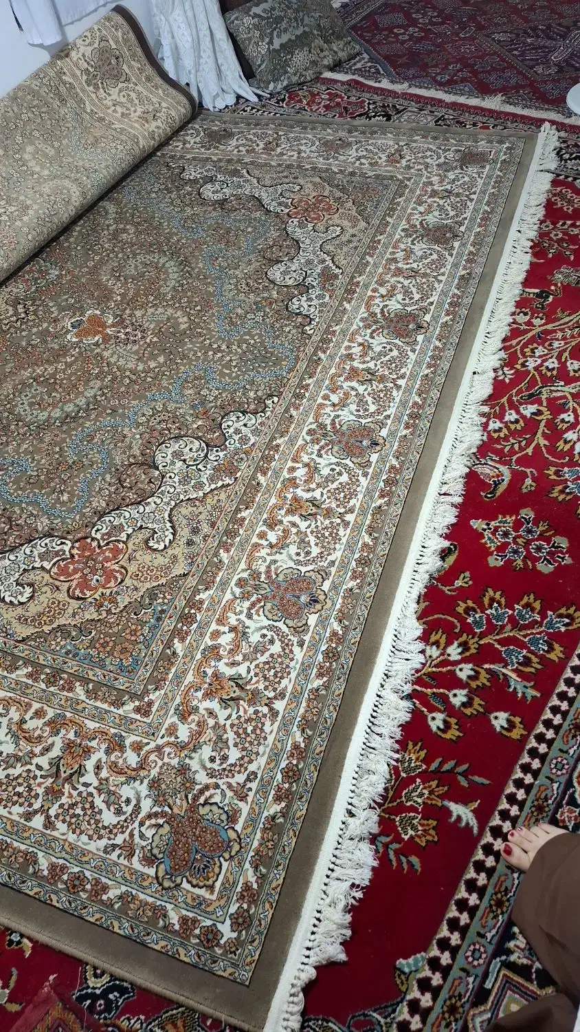 فرش 12 متری 700 شانه در حد|فرش|بابل, |دیوار