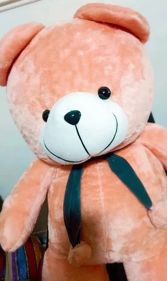 خرس خرید از تولید کننده|عمده‌فروشی|نسیم‌شهر, |دیوار