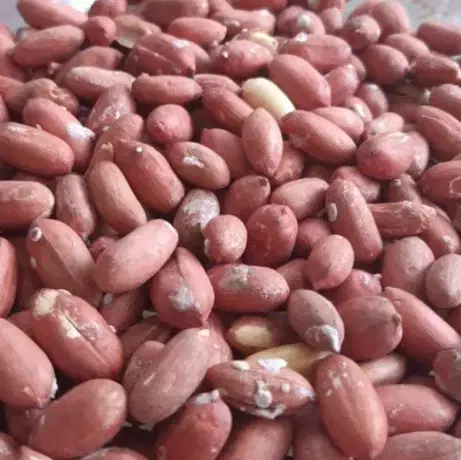 بادام تازه|خوردنی و آشامیدنی|تهران, زعفرانیه|دیوار