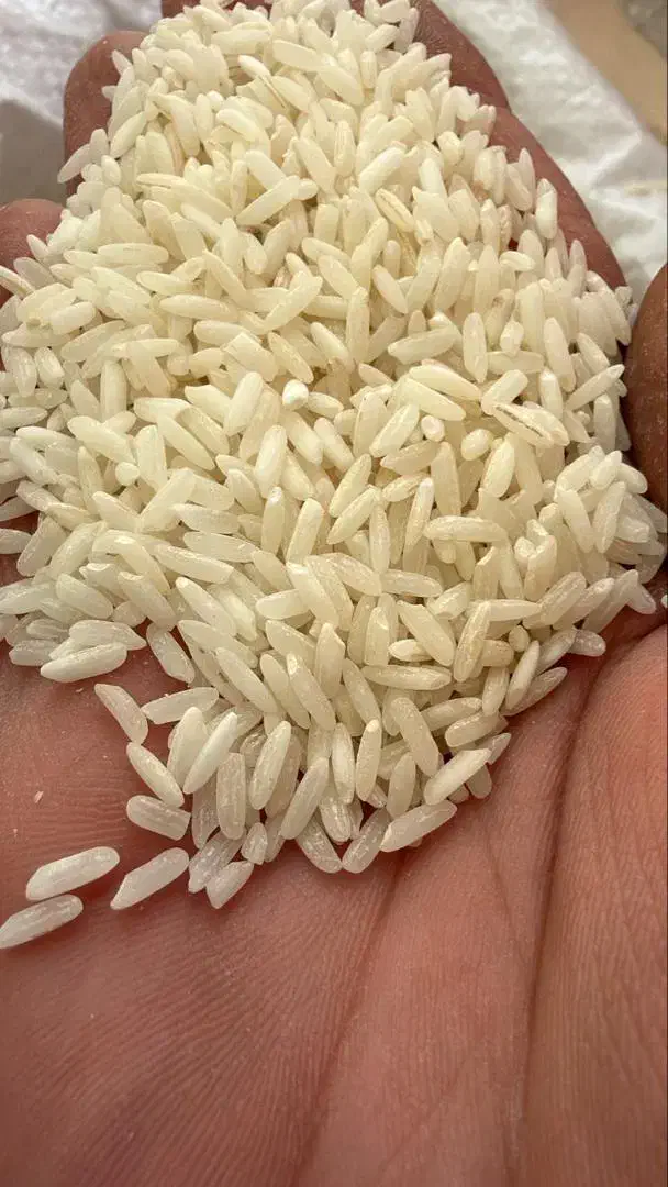 پخش عمده برنج تایلندی اروگوئه وهومالی|خوردنی و آشامیدنی|کرمانشاه, |دیوار