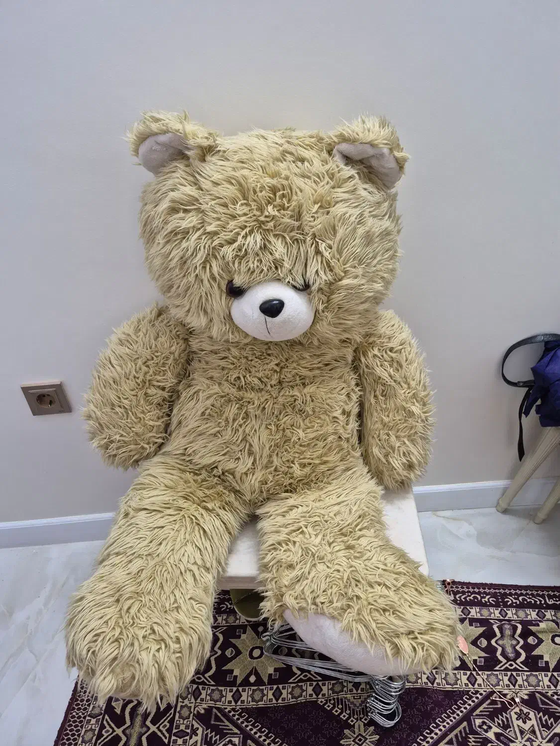 خرس پشمالو|اسباب‌‌بازی|ری, فیروزآبادی|دیوار