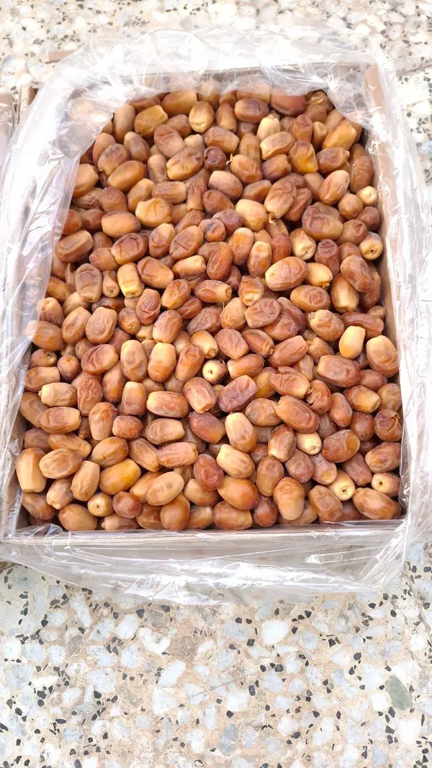 خرما زاهدی صادراتی|خوردنی و آشامیدنی|رشت, شهرک شهید رجایی|دیوار