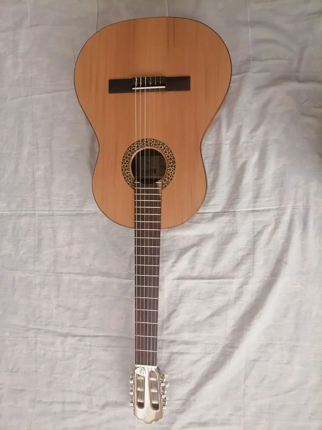 گیتار کلاسیک نو|گیتار، بیس، امپلیفایر|شهرضا, |دیوار