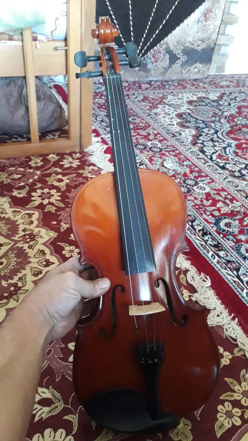 ویلن تی اف|ویولن|شهرکرد, |دیوار