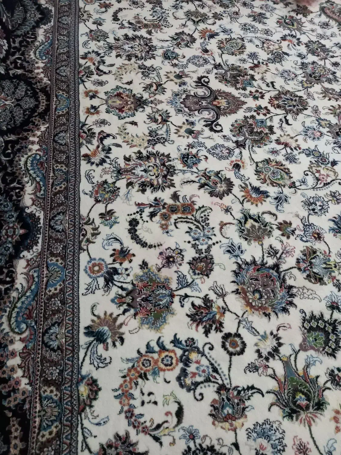 قالی دوازده متری طرح افشان|فرش|بروجرد, |دیوار