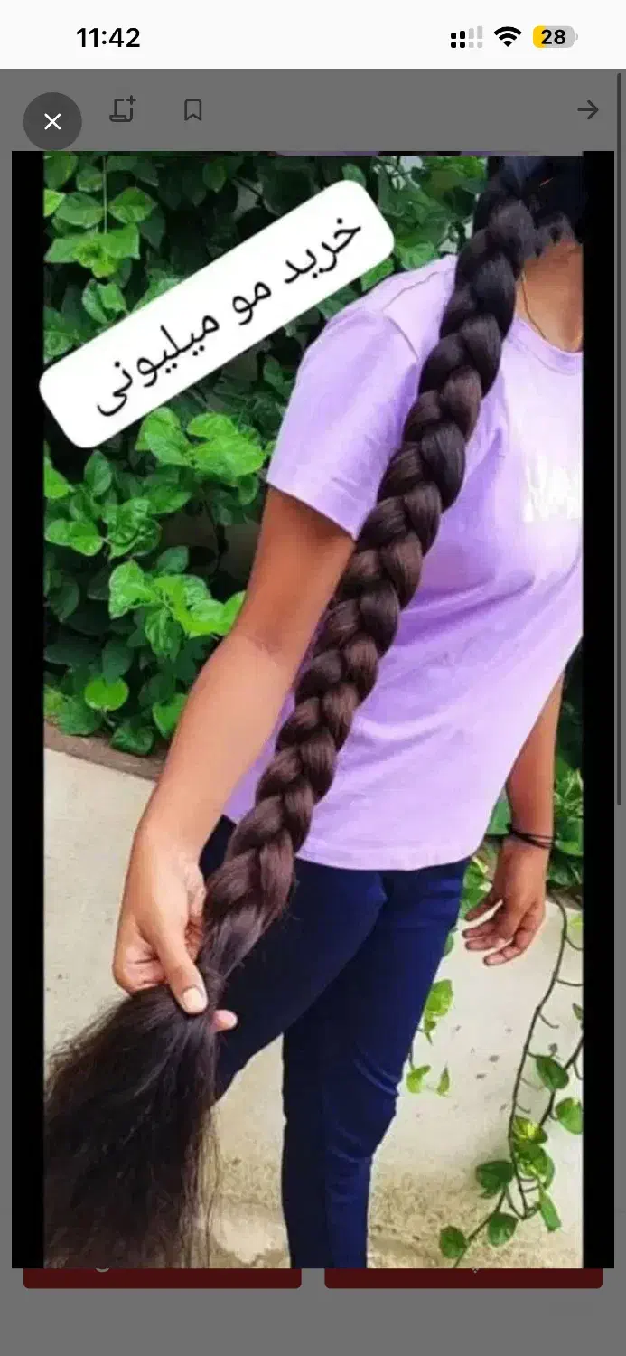 خرید مو خریدار موها گران|آرایشی، بهداشتی، درمانی|زنجان, |دیوار