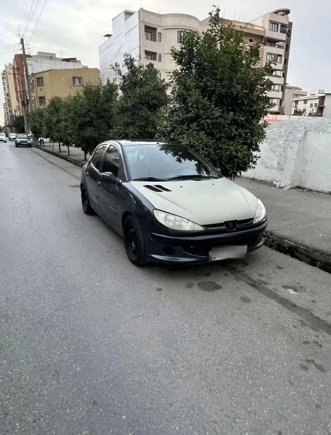 پژو 206 مدل 81|خودرو سواری و وانت|ساری, |دیوار