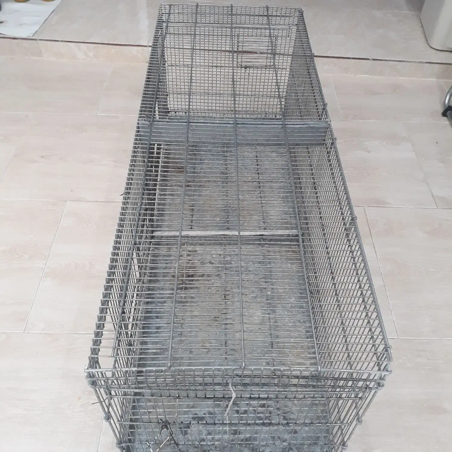 قفس پران|لوازم جانبی حیوانات|قشم, |دیوار