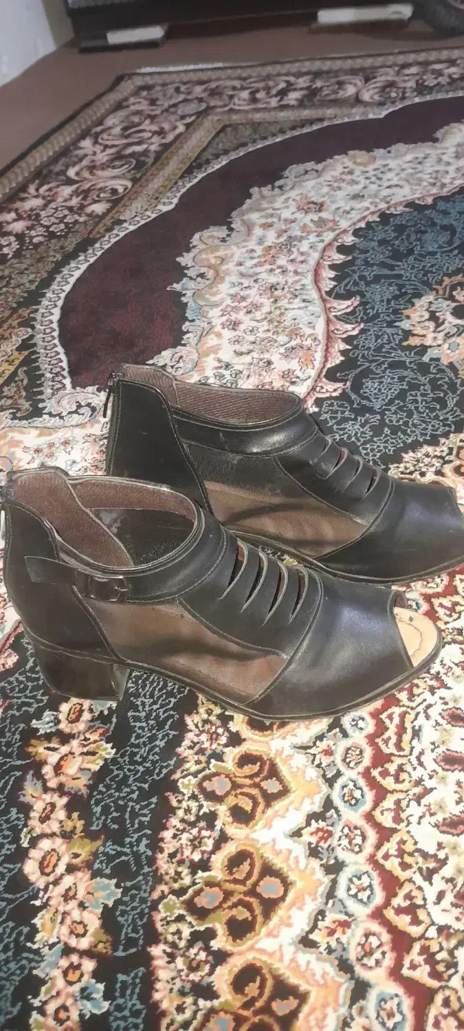 کفش|کیف، کفش، کمربند|کامیاران, |دیوار