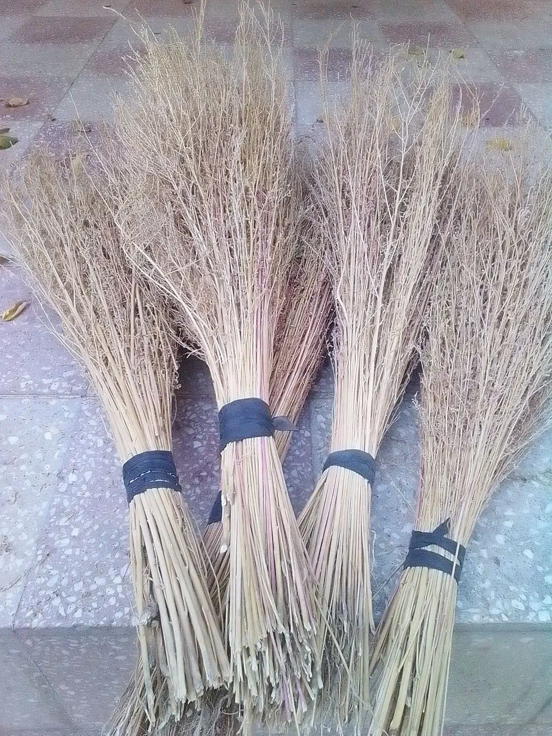 جارو پیشی|لوازم نظافت|زاغه, |دیوار