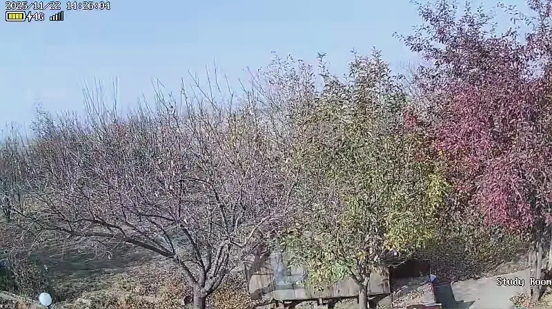 باغ به مساحت هزار متر در کمربندی خوی سلماس|فروش زمین و ملک کلنگی|سلماس, |دیوار