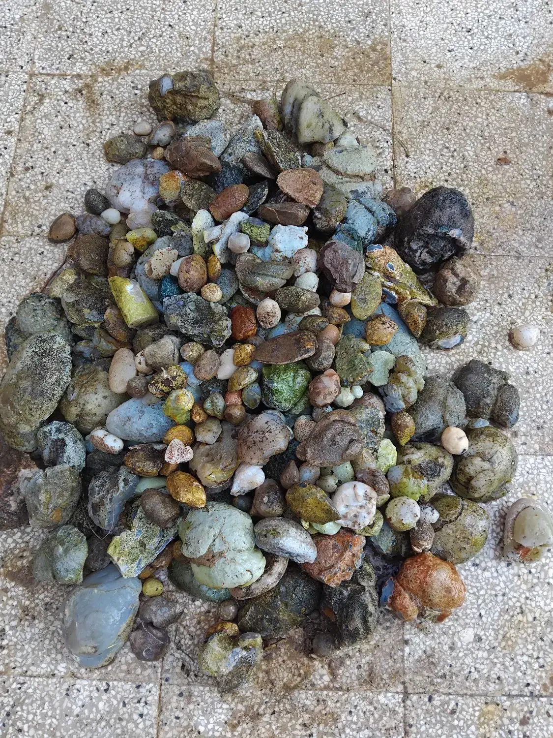 توپی|کلکسیون اشیاء عتیقه|فردوس (خراسان), |دیوار