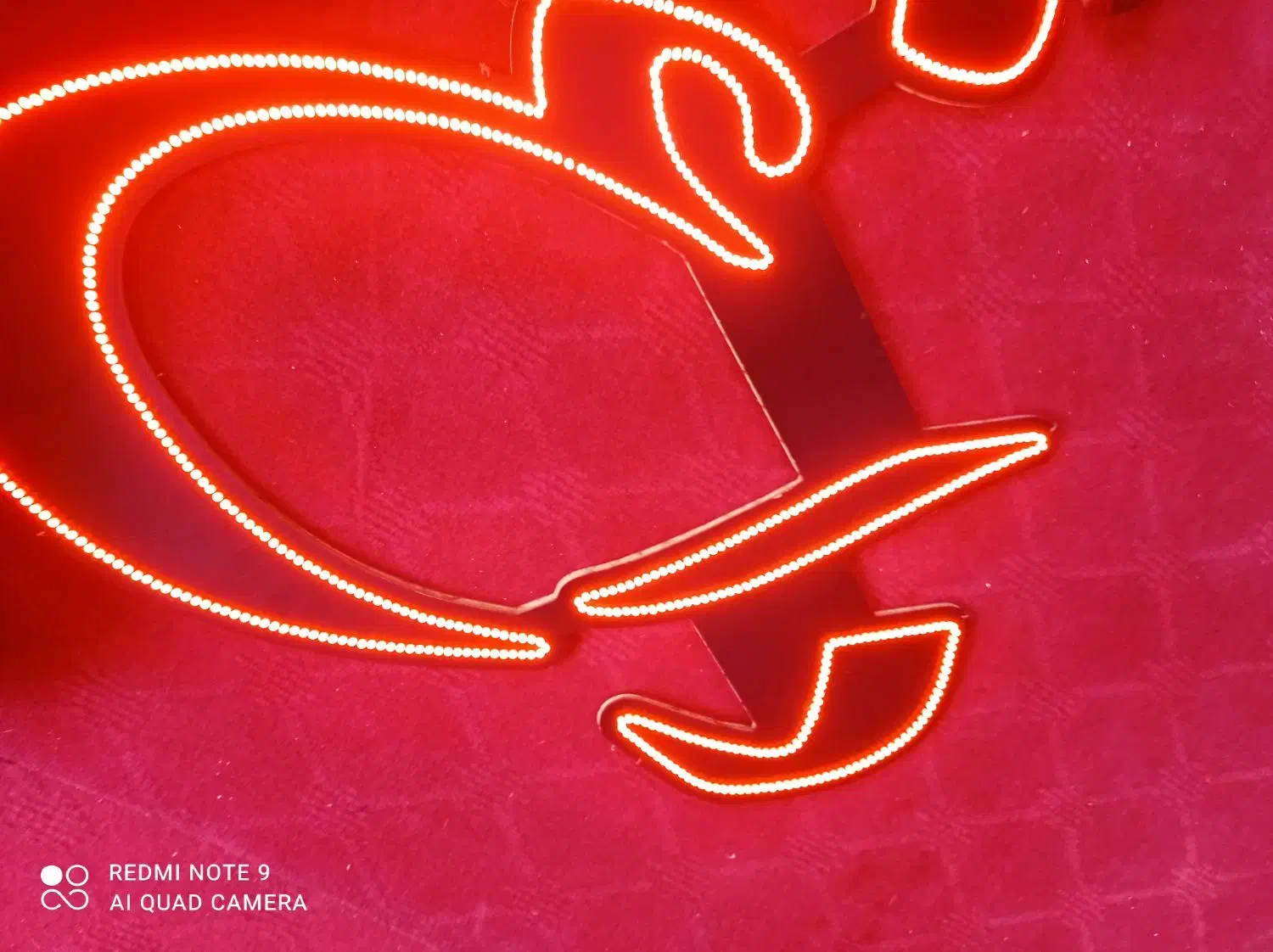 نئون تخمه داغ ال ای دی|فروشگاه و مغازه|مشهد, عسگریه|دیوار