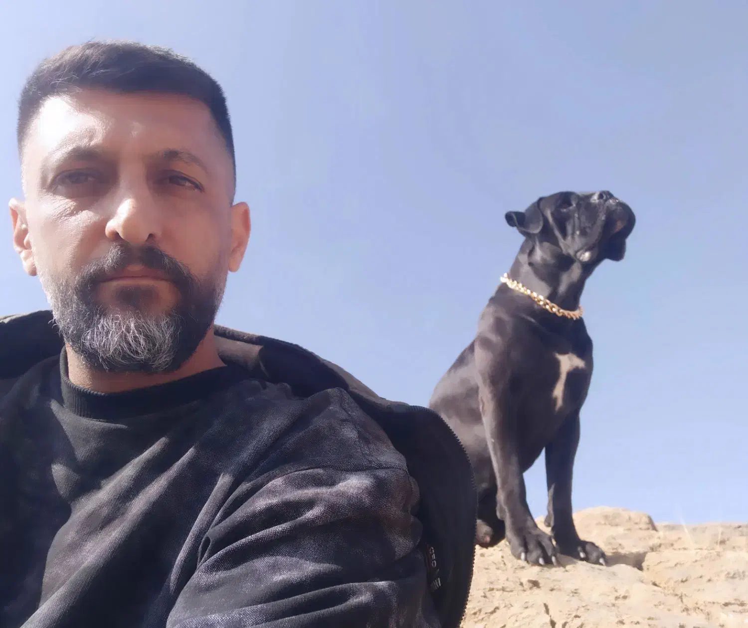 کین کورسو|سگ|خمین, |دیوار