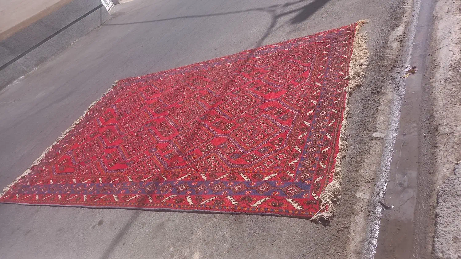 فرش دستبافت پشمی|فرش|شیراز, شهرک فرهنگیان|دیوار