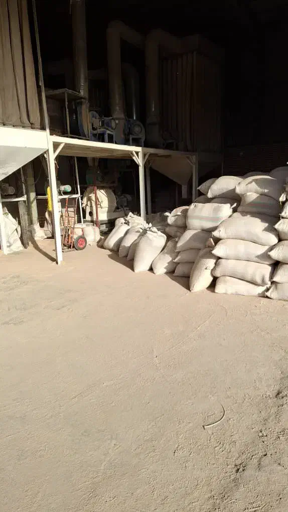 دوکوب پوست چلتوک|عمدهفروشی|درودزن, |دیوار