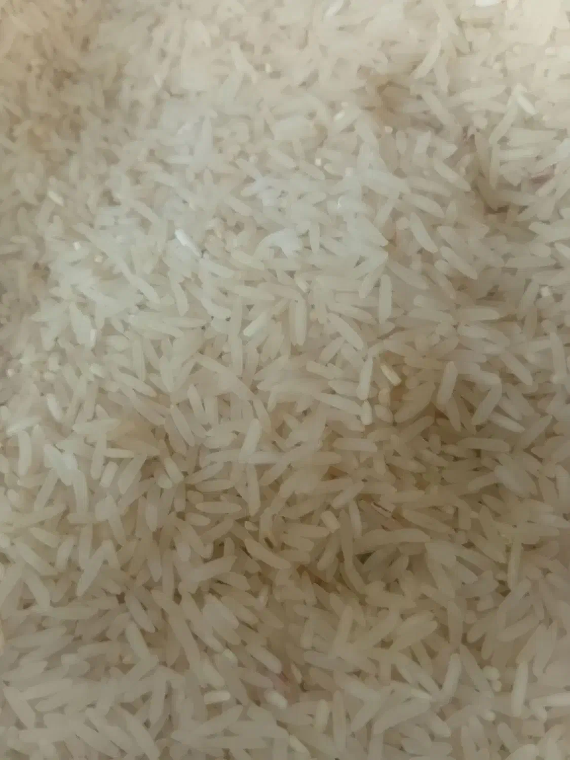 ۱۴۰ کیلو برنج فجر ۹۰ روزه|خوردنی و آشامیدنی|گرگان, |دیوار