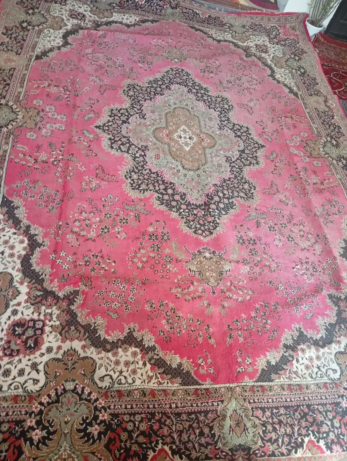 فرش  خوش رنگ|فرش|اهر, |دیوار