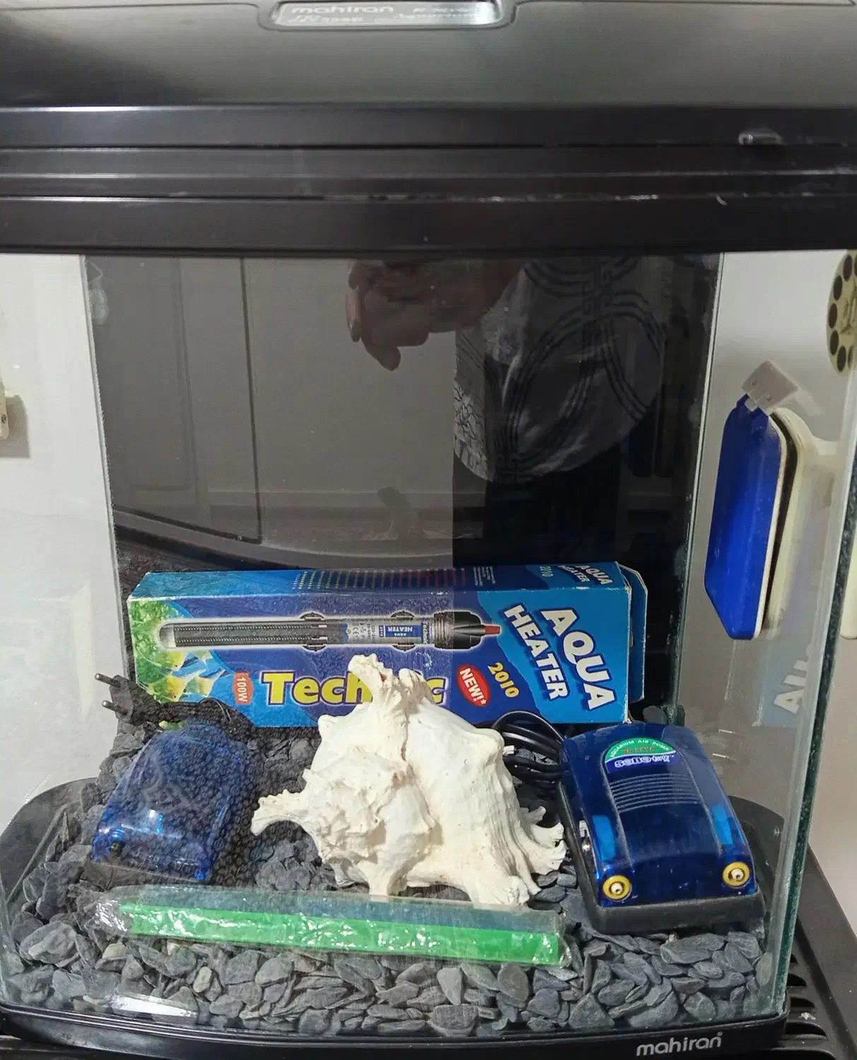 آکواریوم ماهیران|ماهی|کرج, شاهین‌ویلا|دیوار