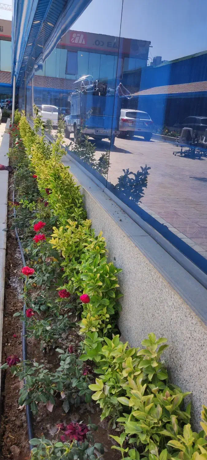 خدمات باغبانی باغچه کاری تعویض گلدان گل‌های زینتی|خدمات باغبانی و درختکاری|تهران, هاشمی|دیوار