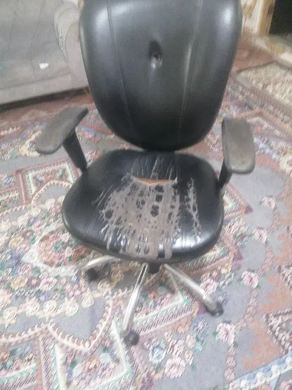 صندلی|صندلی و نیمکت|آزادشهر, |دیوار