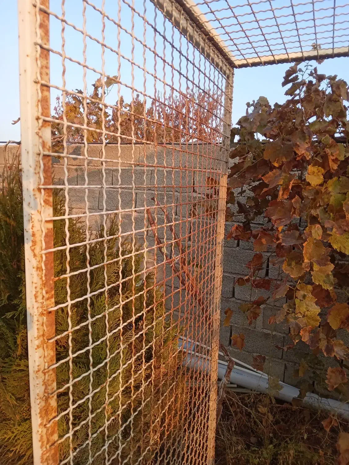 قفس بزرگ ۲×۲|لوازم جانبی حیوانات|ارومیه, |دیوار