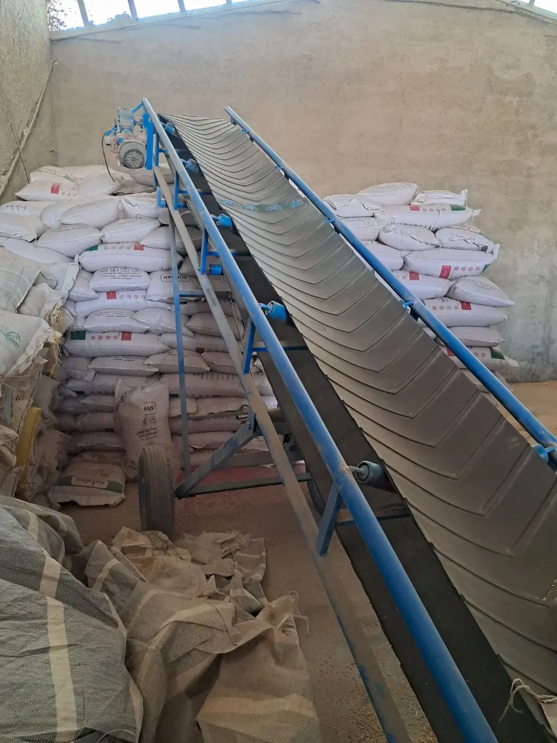 بذر گندم آبی|خدمات باغبانی و درختکاری|سجاس رود, |دیوار